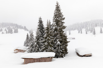 Cabin in the woods, a house covered in snow by the pine forest