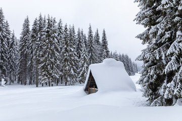 Cabin in the woods, a house covered in snow by the pine forest