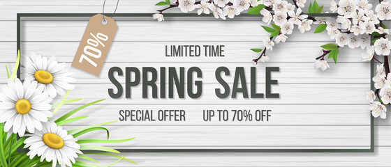 Spring sale frame chamomile wood blooming branch.