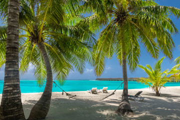 Fototapeta na wymiar Vacation on palm beach in the Maldives with hammock