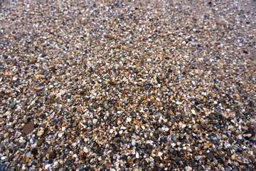 coquina, sand, Anapa beach.......