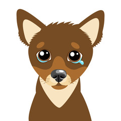Sad Dog Face Emoticon Vector Icon. Vector Head Cute Sad Face Pet Animal. Crying Dog Emoji. When You Depressed. What Is Your Dog Saying When Making A Sad Face.