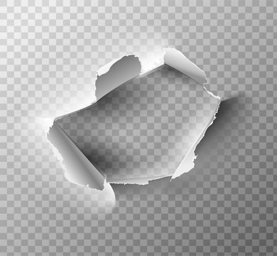 Realistic holes in paper isolated on transparent backgroun. Vector illustration.