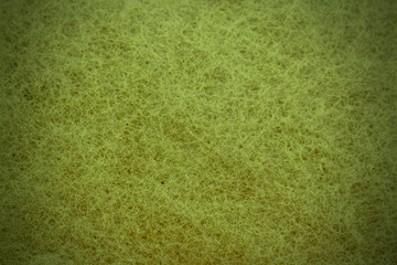 Green sponge texture with vignette