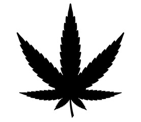 Cannabis or marijuana leaf icon
