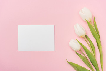 blank greeting card and bunch of white tulips on pink background