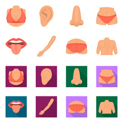 Isolated object of body and part symbol. Collection of body and anatomy stock vector illustration.
