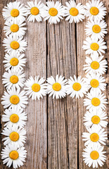 Obraz premium 8 March International Womens Day Background with spring flowers and inscription with chamomile letter 