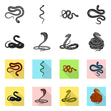 Vector illustration of mammal and danger icon. Set of mammal and medicine stock vector illustration.