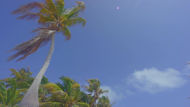 Scenic footage from Playa Kun, Mexico.