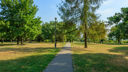 Fototapeta na wymiar Zeromskiego Park, Cracow, Poland