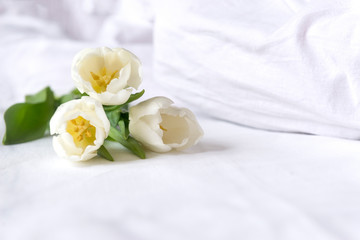 3 white tulips on white bed linen