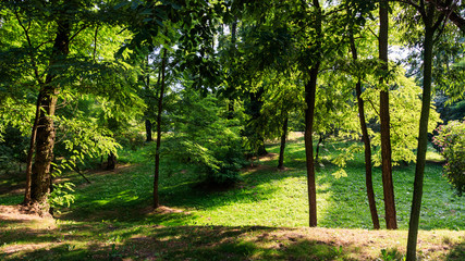 Park at the Piastow housing estate, Kraków, Poland