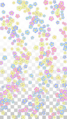 Colorful Vector Realistic Petals Falling on Transparent Background.  Spring Romantic Flowers Illustration. Flying Petals. Sakura Spa Design. Blossom Confetti. Design Elements for Wedding Decoration.