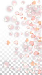 Vector Realistic Petals and Hearts Confetti. Flying Sakura and Hearts on Transparent Background. Wedding Invitation Background. Spring Romance Poster. Vector Illustration for Anniversary Design.
