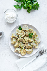 Meat Dumplings