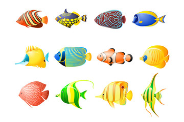 Naklejka premium discus