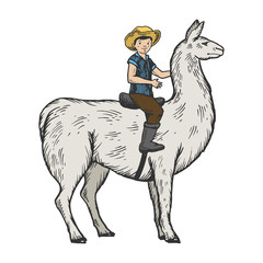 Child boy riding llama engraving color vector illustration. Scratch board style imitation. Black and white hand drawn image.