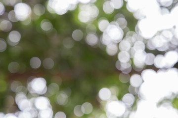 Background image blur Beautiful bokeh.