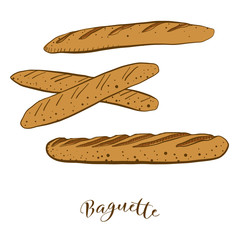 Colored sketches of Baguette bread