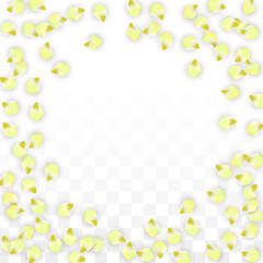 Vector Realistic Pink Petals Falling on Transparent Background.  Spring Romantic Flowers Illustration. Flying Petals. Sakura Spa Design. Blossom Confetti.