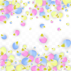 Vector Realistic Colorful Petals Falling on Transparent Background.  Spring Romantic Flowers Illustration. Flying Petals. Sakura Spa Design. Blossom Confetti. Design Elements for Wedding Decoration.