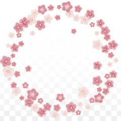 Vector Realistic Pink Flowers Falling on Transparent Background.  Spring Romantic Flowers Illustration. Flying Petals. Sakura Spa Design. Blossom Confetti. Design Elements for Wedding Decoration.