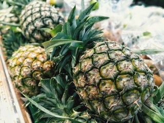 Pineapple​fruit​ in​ summer​ season