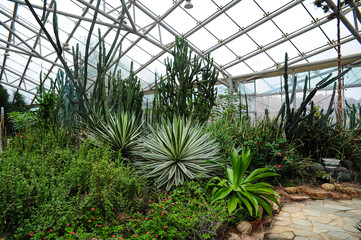 garden with plants and plants