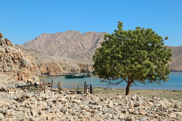 Ancient Village of Haffa, Sultanate of Oman, Musandam peninsula, Gulf of Oman
