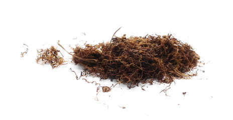 Tobacco pile isolated on white background