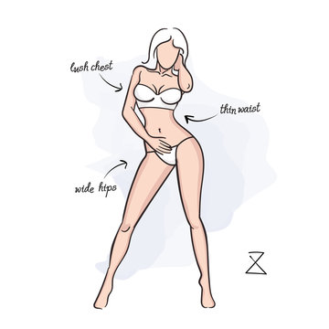 Woman hourglass body shape. Vector illustration of girl's figure. Woman in bathing suit.