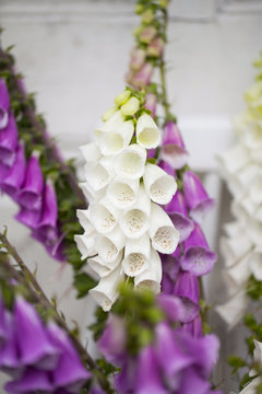 beautiful bouquet of field flowers - foxglove against the background of old white door
