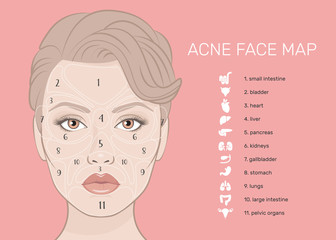 Acne Face Map. Vector illustration of beauty woman face. Viscera location map on the face. What your skin is telling you. Skin Mapping. The internal organs of the human icons set.  
