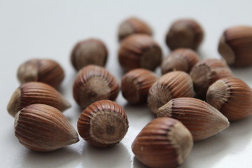hazelnuts in bowl on wooden background