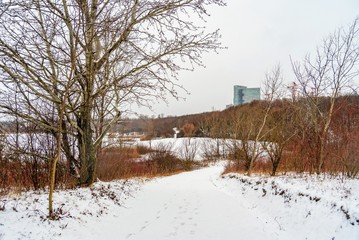 Snow covered walkway through a park area with office buildings in the background.