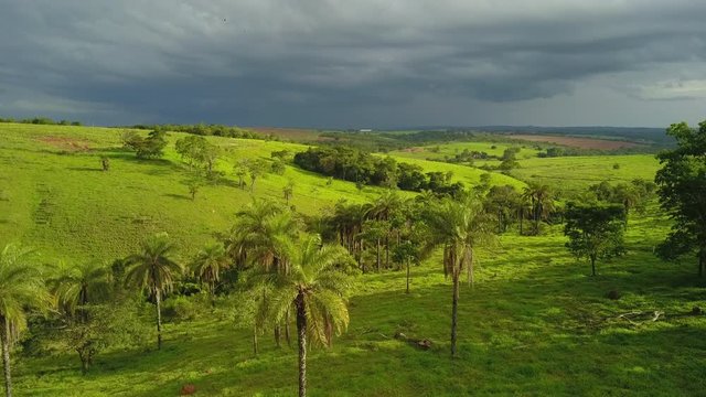 Aerial shot of hills and palm trees in Brazil, overcast day with a moment of sunshine and vibrant green grass as flying over rainforest