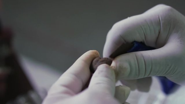 Close up shot of cleansing coyol palm seed with a burr cutter, white gloves on hands
