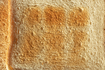 White Toasted Bread Closeup