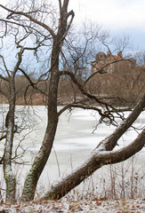 Winter landscape.  Leningrad region.