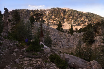 Stony hills covered with green bushes against the blue sky - Lycian way, Turkey