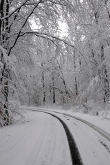 Snowy winter forest. Wet snow is clinging to the branches of the trees. Beautiful white winter fairy tale. Car tracks in the snow.