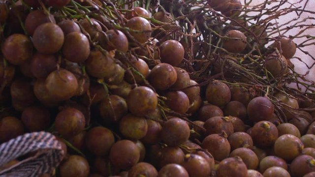 Pull in shot over coyol palm tree fruits, stocked, piled up in white nylon bags