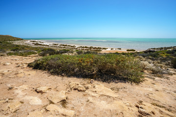 looking at the ocean from eagle bluff at coral coast, western australia 3