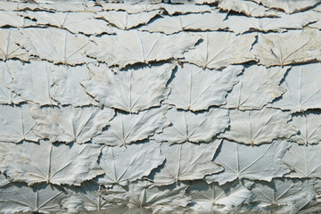 floraler Hintergrund aus weiss grauen Blättern