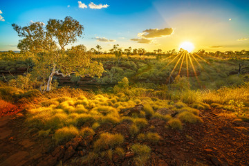 sun at sunset over joffre gorge in karijini national park, western australia 1 - obrazy, fototapety, plakaty