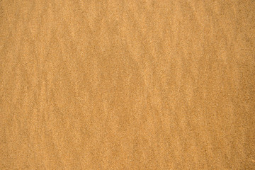 Sand of a beach with line pattern