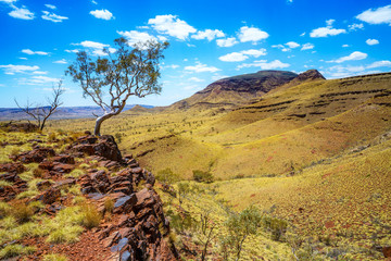hiking on mount bruce in karijini national park, western australia 77