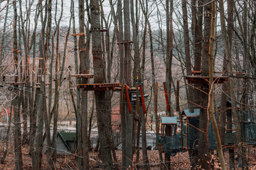 rope park in the forest