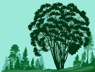 large tree on green forest background